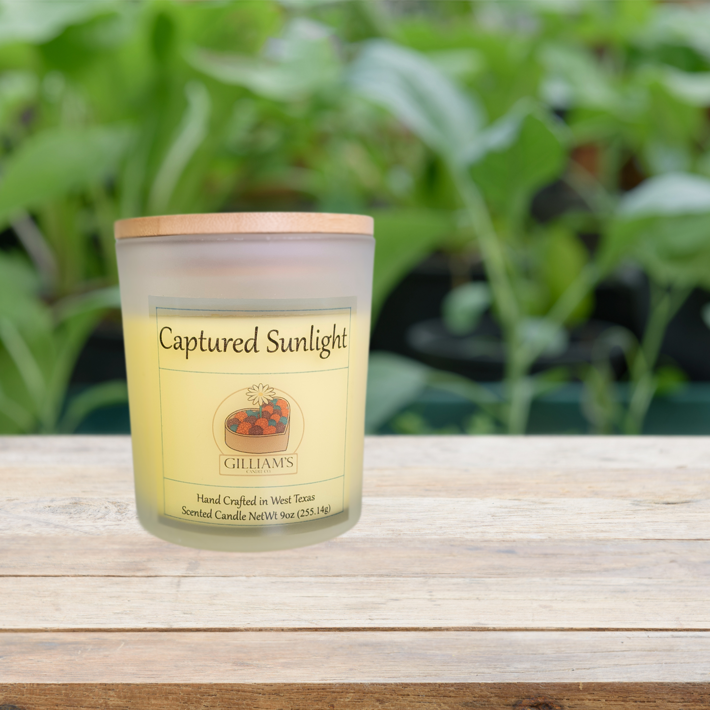 Captured Sunlight